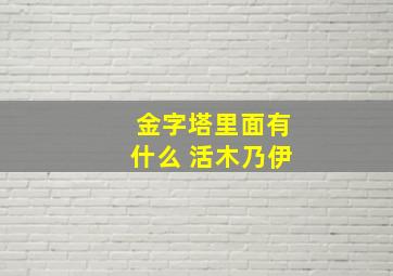 金字塔里面有什么 活木乃伊